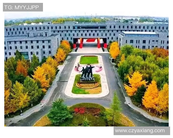 深圳排球队的崛起之路:从默默无闻到总决赛的辉煌历程 深圳排球队的崛起之路:从默默无闻到总决赛的辉煌历程